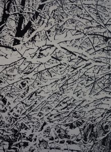 Snow Forest 004A
