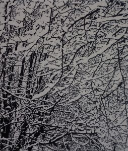 Snow Forest 006A