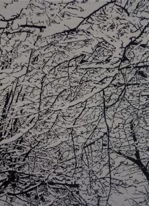 Snow Forest 008A